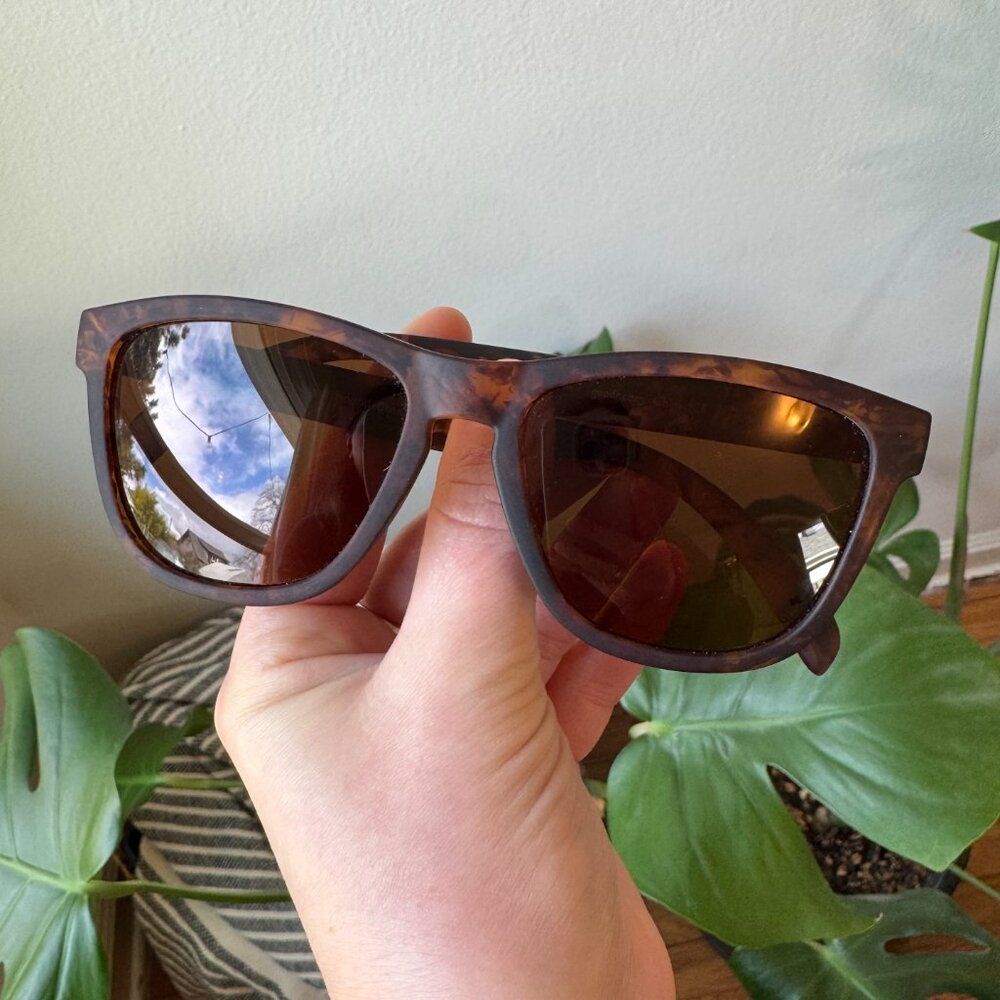 Goodr Sunglasses - Bosley's Basset Hound Dreams